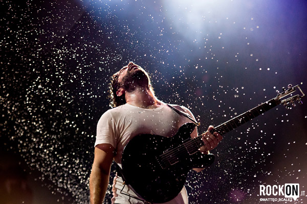 foals