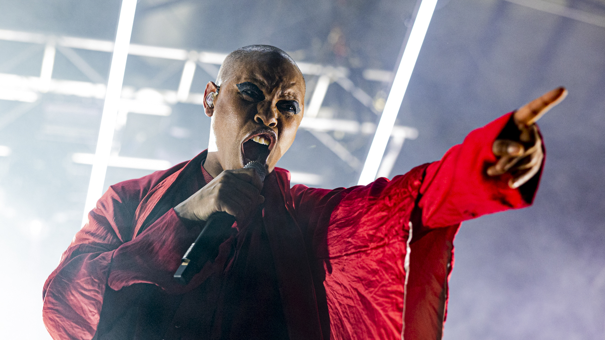 Skunk Anansie Singer Skin