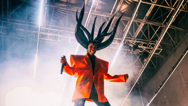 Skunk Anansie Singer Skin