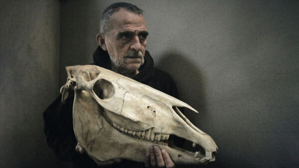 Foto di Martina F. Chinca