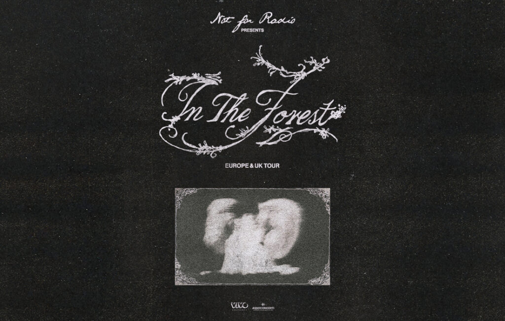 Not For Radio - In The Forest - Tour 2026 Poster